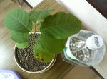 2005102201.jpg