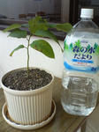 2005102202.jpg
