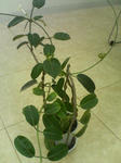 2005102601.jpg
