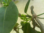 2005102602.jpg