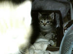 2005110302.jpg