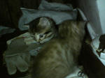 2005110303.jpg