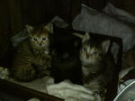 2005110304.jpg