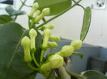 2005110305.jpg