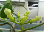 2005110306.jpg