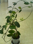 2005110307.jpg