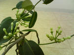 2005110308.jpg