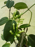 2005110309.jpg