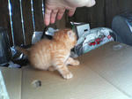 2005110402.jpg
