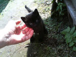 2005110404.jpg