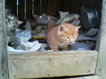 2005110405.jpg