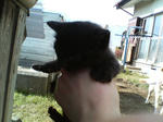 2005110406.jpg