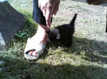 2005110407.jpg