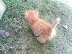 2005110408.jpg