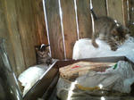 2005110410.jpg