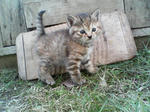 2005110412.jpg
