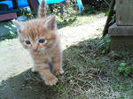 2005110413.jpg