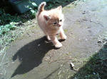 2005110415.jpg