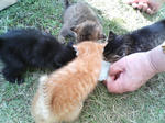2005110416.jpg