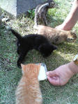 2005110417.jpg