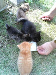 2005110418.jpg