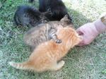 2005110419.jpg
