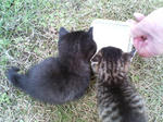 2005110420.jpg