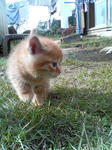 2005110421.jpg