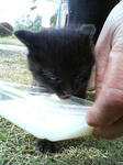 2005110422.jpg