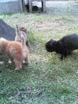 2005110423.jpg