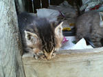 2005110424.jpg