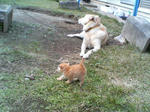 2005110425.jpg