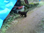 2005110426.jpg