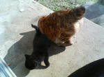 2005110428.jpg
