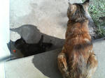 2005110429.jpg