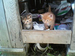 2005110430.jpg