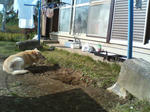 2005110432.jpg