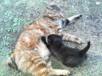 2005110435.jpg