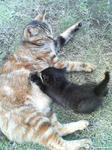 2005110436.jpg
