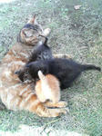 2005110437.jpg