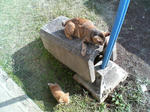 2005110440.jpg