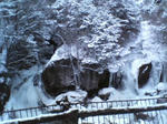 2005121803.jpg