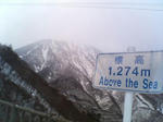 2005121809.jpg