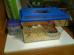 2006121023.jpg