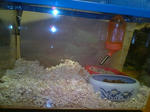 2006121025.jpg