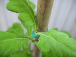 a9692d56.jpg