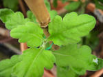 018857b6.jpg