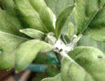 d14839e5.JPG