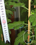 ae2428b8.JPG