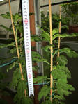 03e992d4.JPG
